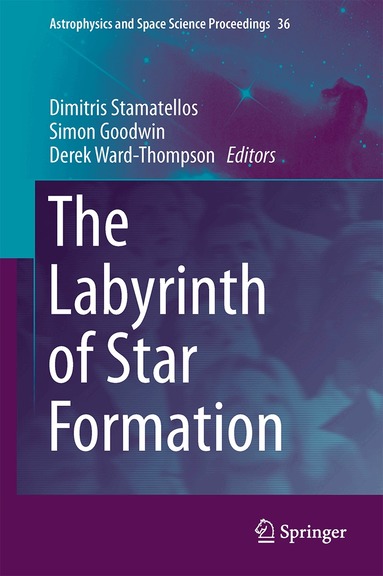 Dimitris Stamatellos, Simon Goodwin, Derek Ward-Thompson - Labyrinth of Star Formation, Inbunden