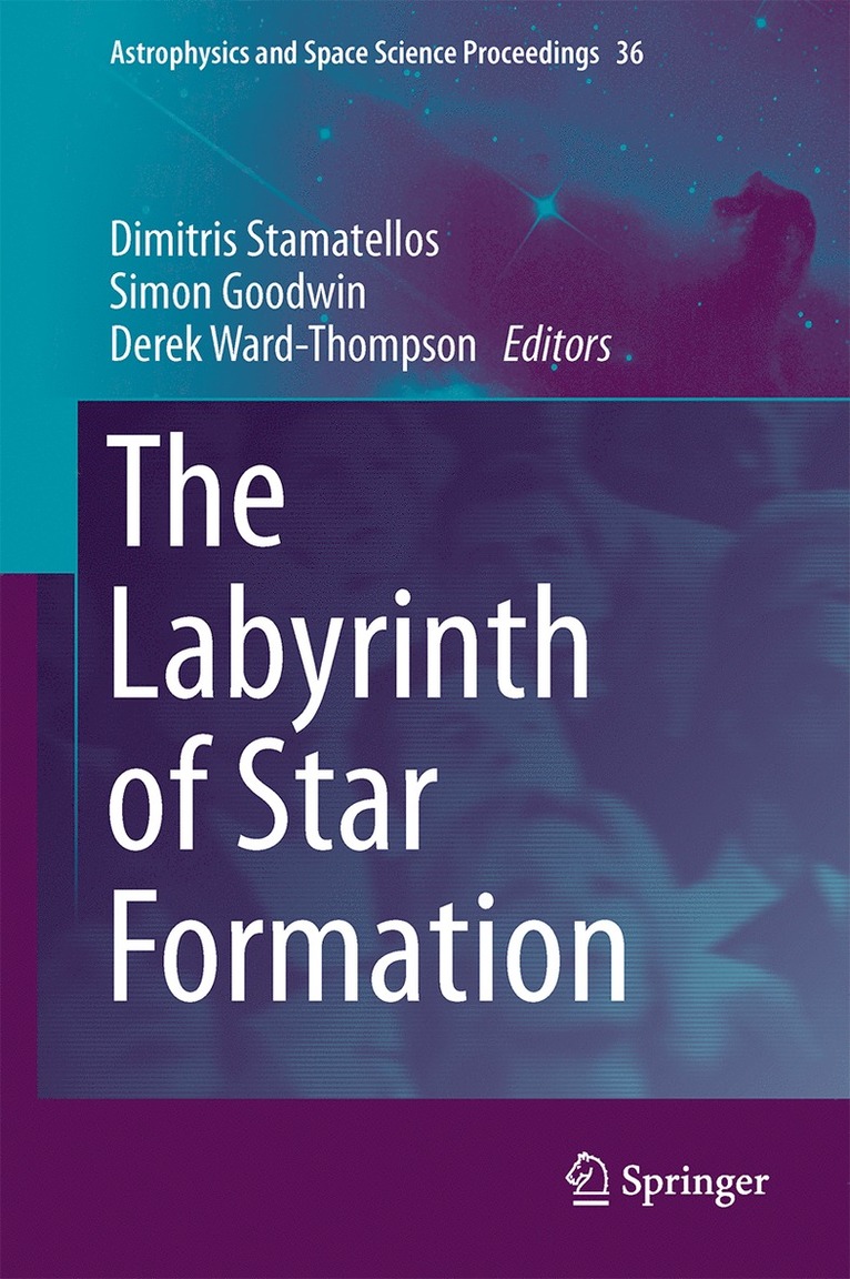 Dimitris Stamatellos, Simon Goodwin, Derek Ward-Thompson - Labyrinth of Star Formation, Inbunden