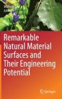 bokomslag Remarkable Natural Material Surfaces and Their Engineering Potential