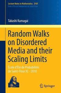 bokomslag Random Walks on Disordered Media and their Scaling Limits