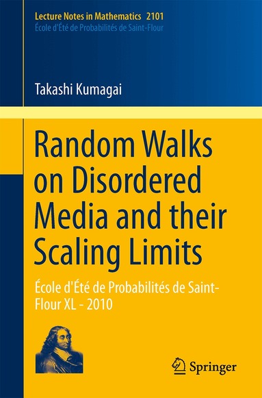 Takashi Kumagai - Random Walks on Disordered Media and their Scaling Limits, Häftad