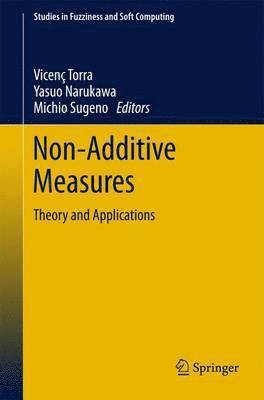 bokomslag Non-Additive Measures