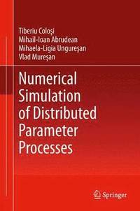 bokomslag Numerical Simulation of Distributed Parameter Processes