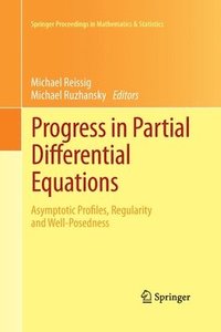 bokomslag Progress in Partial Differential Equations
