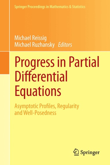 Michael Reissig, Michael Ruzhansky - Progress in Partial Differential Equations, Häftad