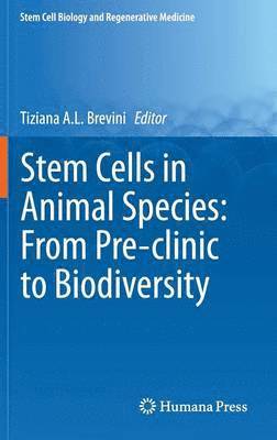 bokomslag Stem Cells in Animal Species: From Pre-clinic to Biodiversity