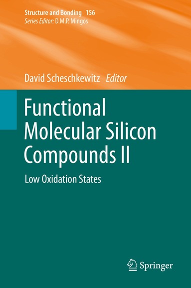 David Scheschkewitz - Functional Molecular Silicon Compounds II, Inbunden