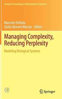 bokomslag Managing Complexity, Reducing Perplexity