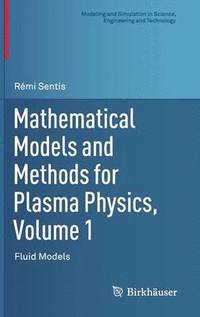 bokomslag Mathematical Models and Methods for Plasma Physics, Volume 1