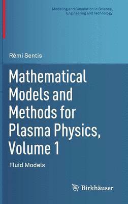 bokomslag Mathematical Models and Methods for Plasma Physics, Volume 1