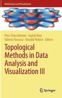 bokomslag Topological Methods in Data Analysis and Visualization III