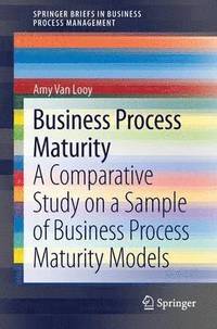 bokomslag Business Process Maturity
