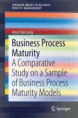 Business Process Maturity 1