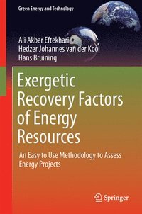 bokomslag Exergetic Recovery Factors of Energy Resources