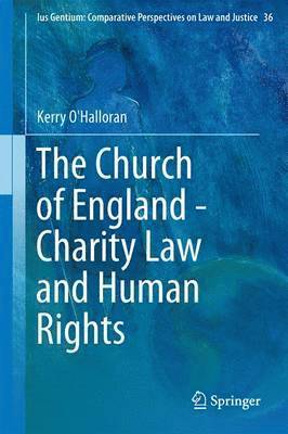 bokomslag The Church of England - Charity Law and Human Rights