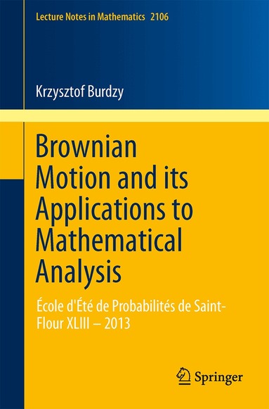 Krzysztof Burdzy - Brownian Motion and its Applications to Mathematical Analysis, Häftad