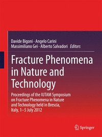 bokomslag Fracture Phenomena in Nature and Technology