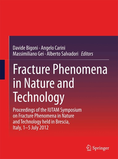 Davide Bigoni, Angelo Carini, Massimiliano Gei, Alberto Salvadori - Fracture Phenomena in Nature and Technology, Inbunden