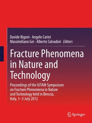 Fracture Phenomena in Nature and Technology 1