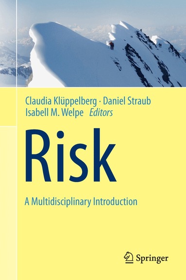 Claudia Klüppelberg, Daniel Straub, Isabell M. Welpe - Risk - A Multidisciplinary Introduction, Inbunden