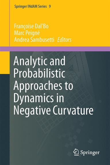 bokomslag Analytic and Probabilistic Approaches to Dynamics in Negative Curvature