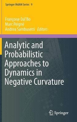 Analytic and Probabilistic Approaches to Dynamics in Negative Curvature 1