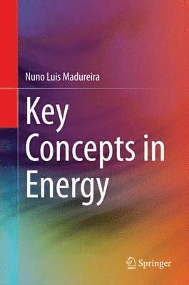 bokomslag Key Concepts in Energy