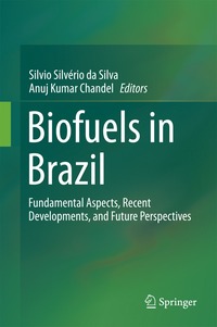 bokomslag Biofuels in Brazil