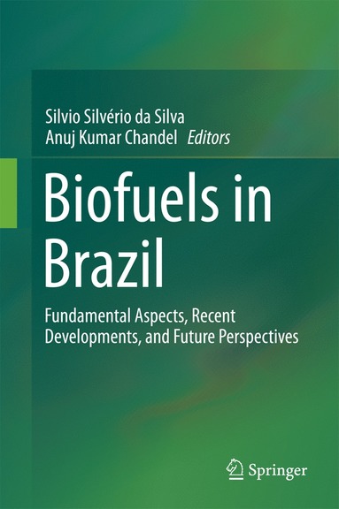 bokomslag Biofuels in Brazil