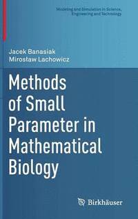 bokomslag Methods of Small Parameter in Mathematical Biology