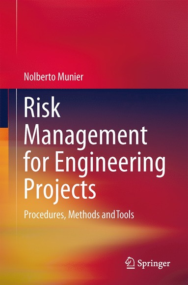 bokomslag Risk Management for Engineering Projects