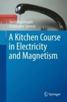 bokomslag A Kitchen Course in Electricity and Magnetism