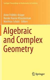 bokomslag Algebraic and Complex Geometry