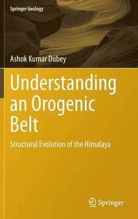 bokomslag Understanding an Orogenic Belt