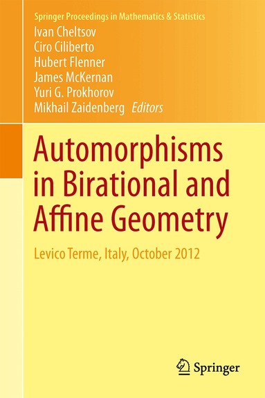 Ivan Cheltsov, Ciro Ciliberto, Hubert Flenner, James McKernan, Yuri G. Prokhorov, Mikhail Zaidenberg - Automorphisms in Birational and Affine Geometry, Inbunden