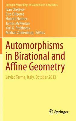 bokomslag Automorphisms in Birational and Affine Geometry