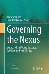 bokomslag Governing the Nexus