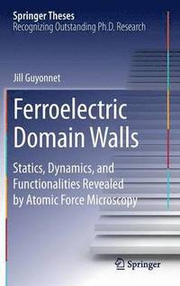 bokomslag Ferroelectric Domain Walls