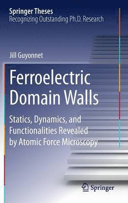 bokomslag Ferroelectric Domain Walls