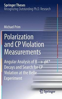 Polarization and CP Violation Measurements 1