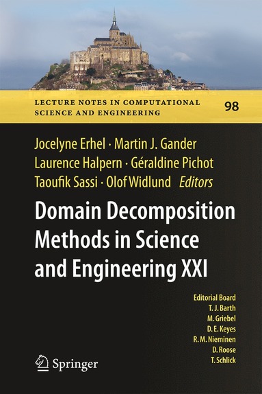 bokomslag Domain Decomposition Methods in Science and Engineering XXI