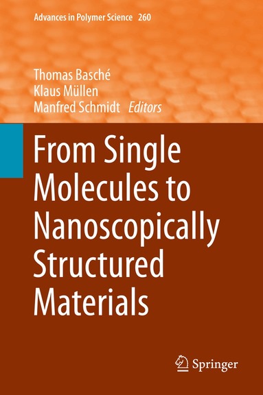 Thomas Basché, Klaus Müllen, Manfred Schmidt - From Single Molecules to Nanoscopically Structured Materials, Inbunden
