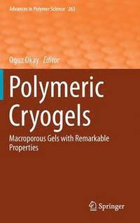 bokomslag Polymeric Cryogels