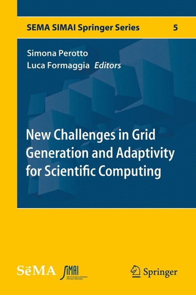 bokomslag New Challenges in Grid Generation and Adaptivity for Scientific Computing