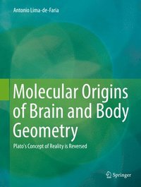 bokomslag Molecular Origins of Brain and Body Geometry