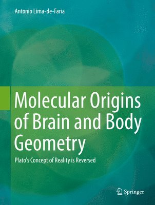 Molecular Origins of Brain and Body Geometry 1