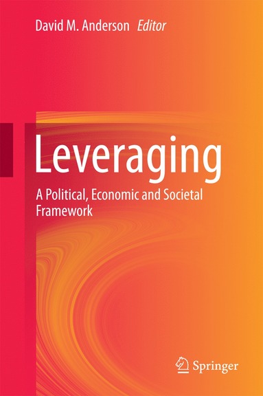 bokomslag Leveraging