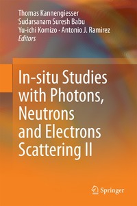 bokomslag In-situ Studies with Photons, Neutrons and Electrons Scattering II