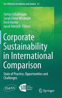 bokomslag Corporate Sustainability in International Comparison