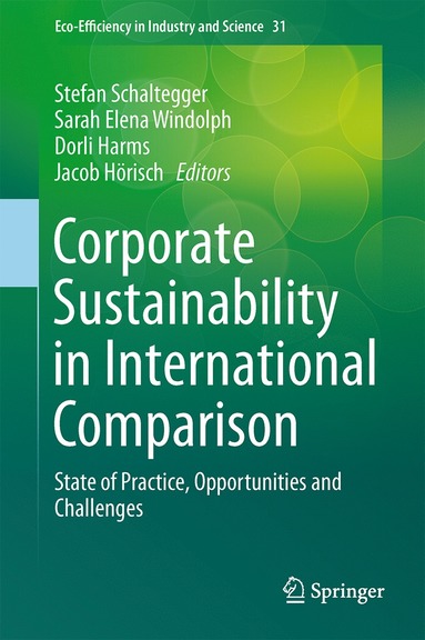 bokomslag Corporate Sustainability in International Comparison